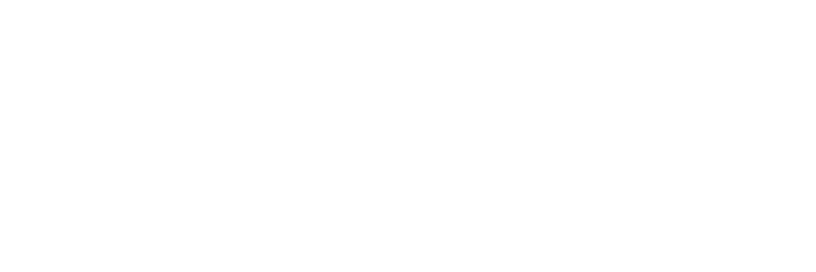 DSD Media